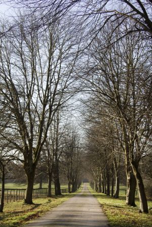 schyolar green 1 sm.jpg